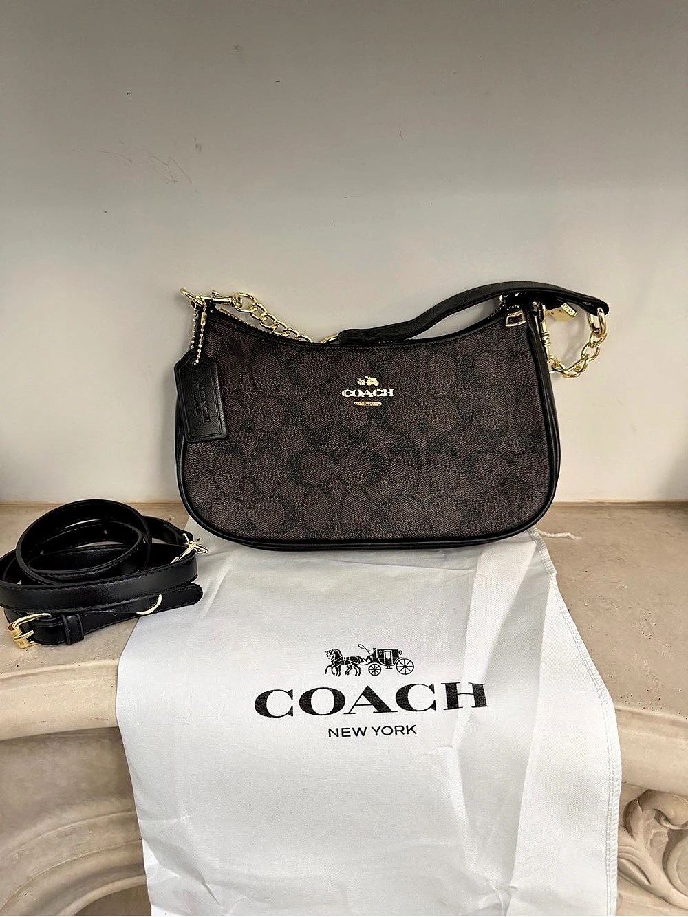 Coach Teri Shoulder Bag in Signature Canvas Brown & Black